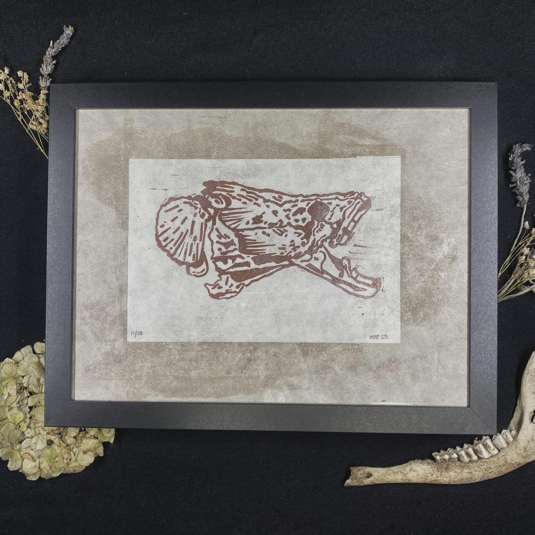 DECOUPAGE ARAPAIMA 02