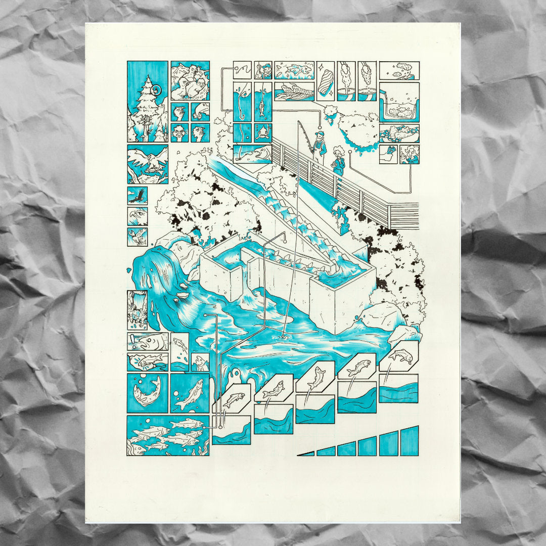 SALMON LADDER COMIC PRINT