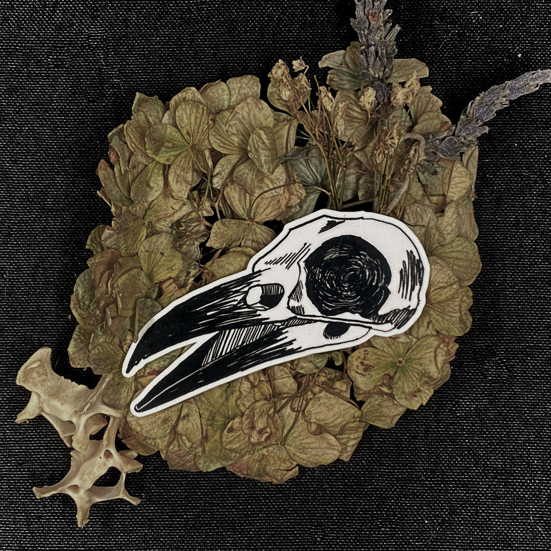 MAGPIE SKULL