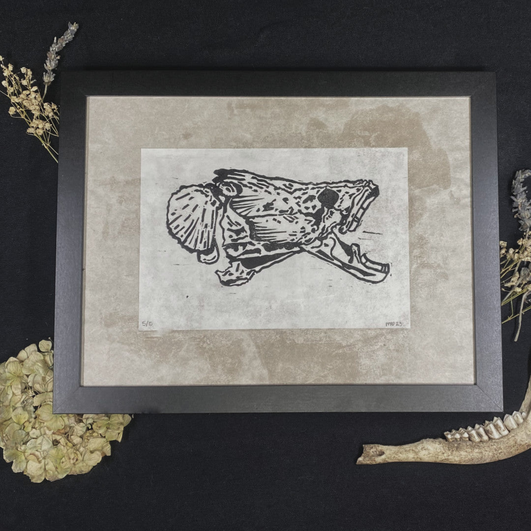 DECOUPAGE ARAPAIMA 01