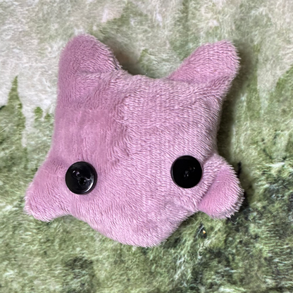 FIDGET FROG PAL